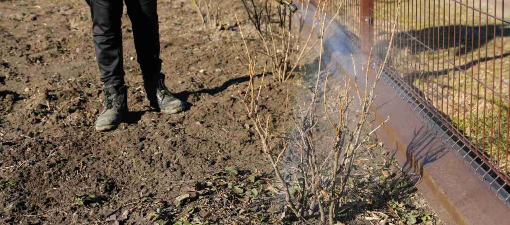 fumigando para prevenir