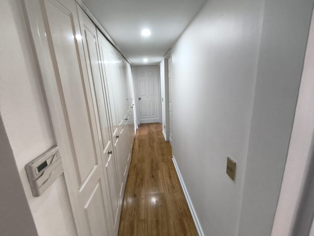 renovación profesional de una propiedad